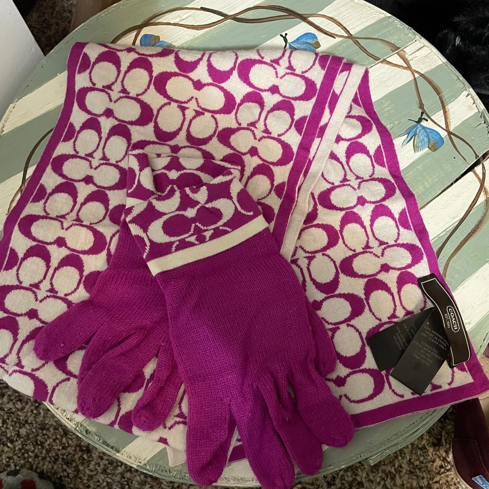 Coach scarf and gloves